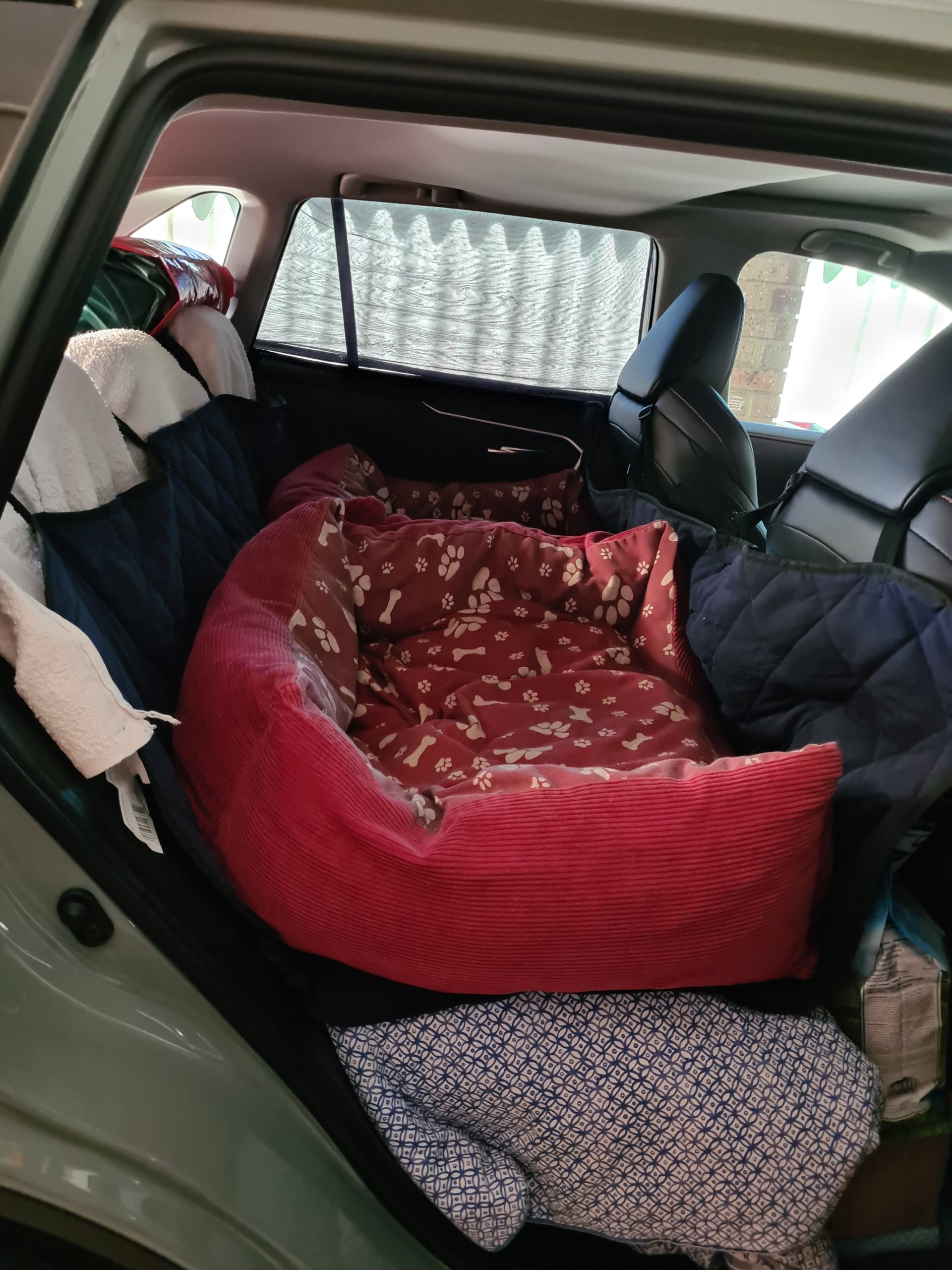 Dog Beds in Car