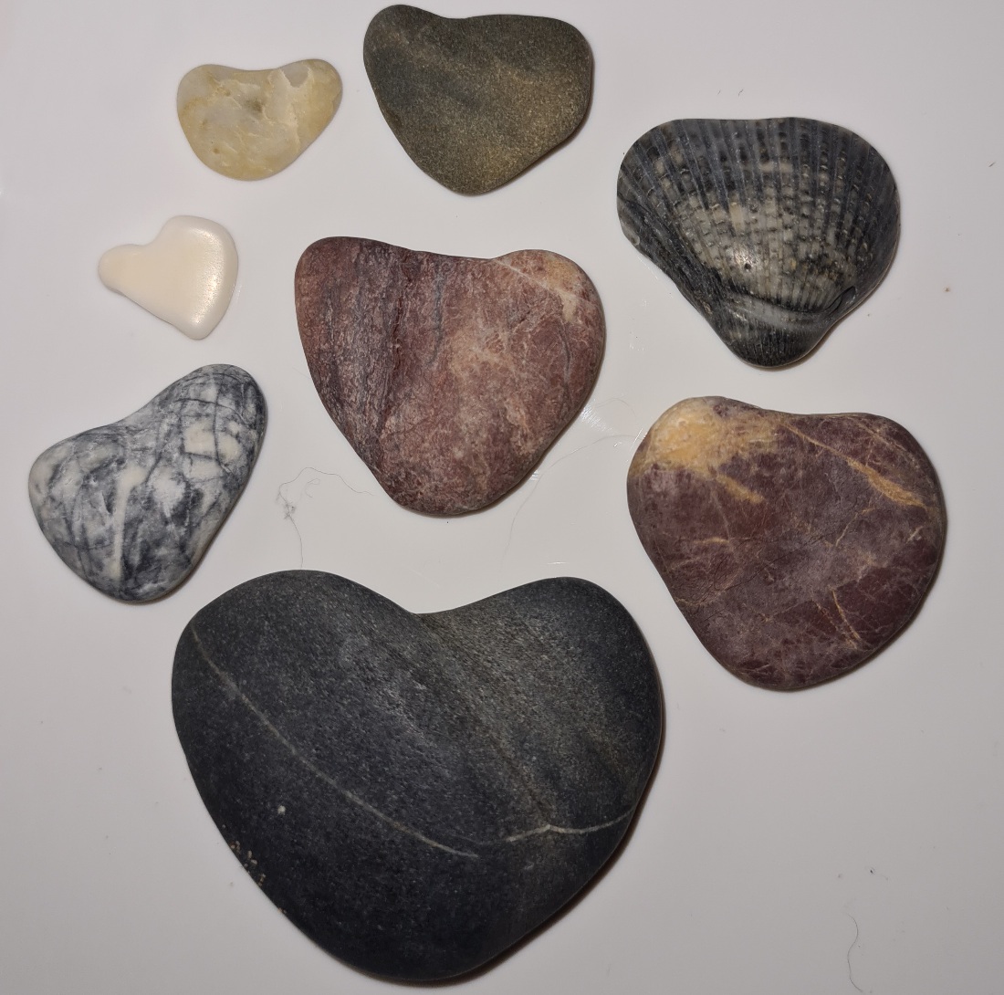 Heart shaped pebbles and shells