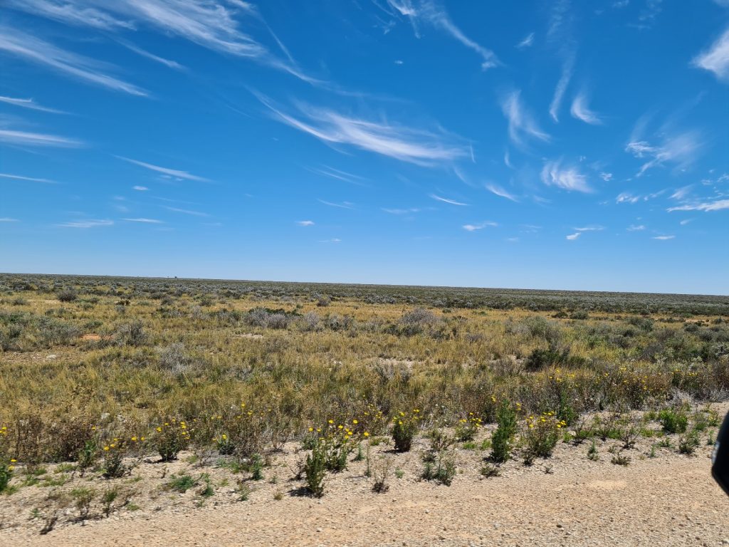 View on the road to Ceduna