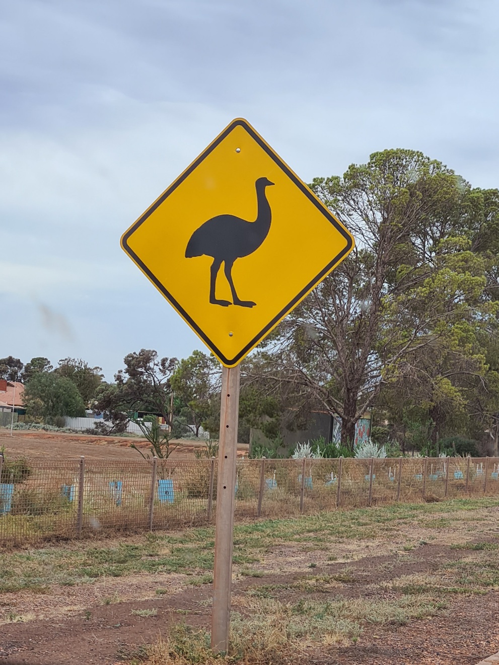 Emu roadsign