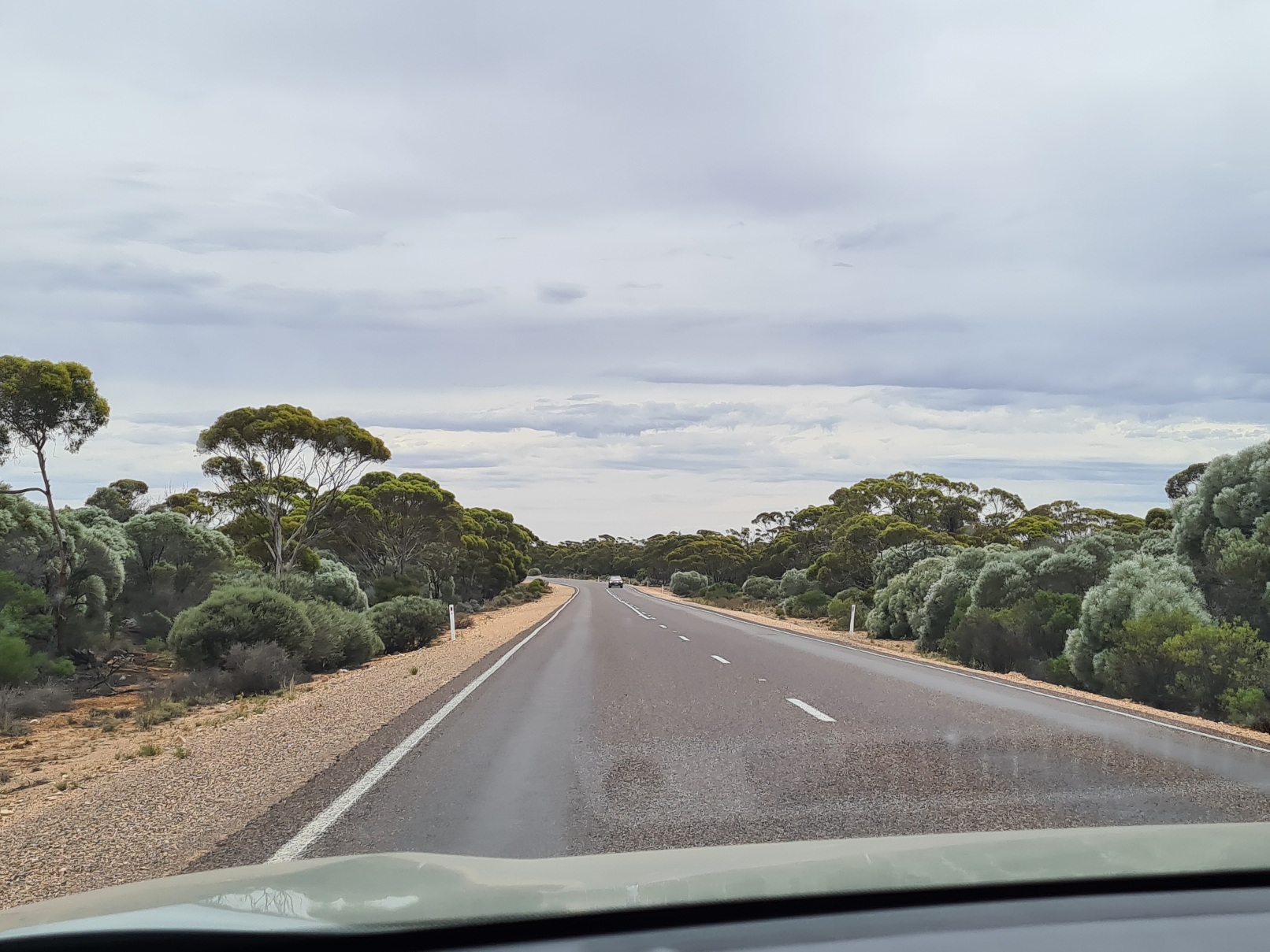 Eyre Highway east from Kimba