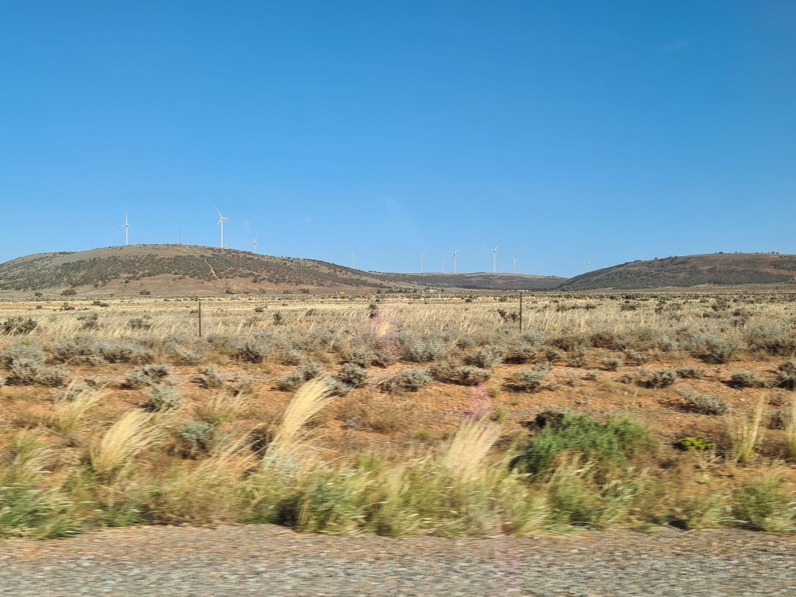 Wind Farm north of Whyalla
